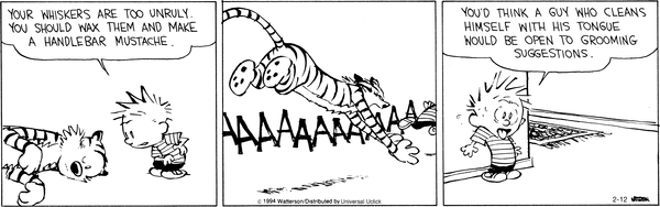 calvinandhobbes